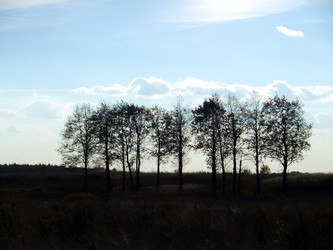 Similar image 6564690