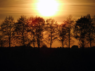 Similar image 6564694