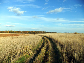 Similar image 6564695