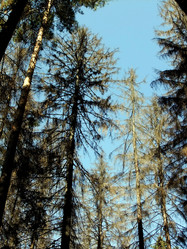 Similar image 6564696