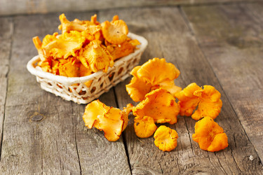 Similar image 6564701