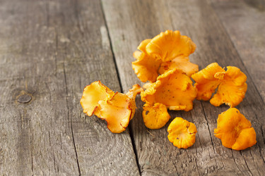 Similar image 6564702