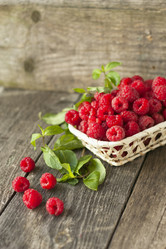 Similar image 6564730