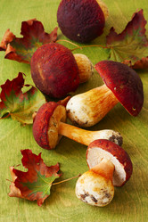 Similar image 6564748