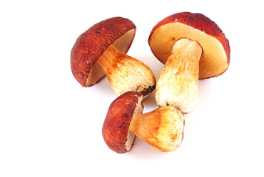 Similar image 6564755