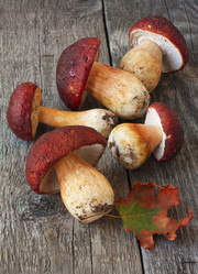 Similar image 6564756