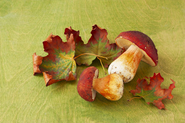 Similar image 6564778