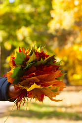 Similar image 6564806