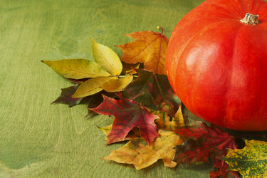 Similar image 6564811