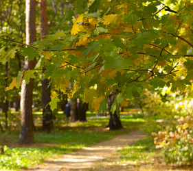 Similar image 6564814