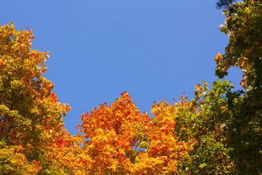 Similar image 6564817