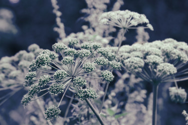 Similar image 6564857