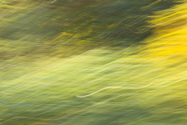 Similar image 6564866