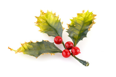 Similar image 6565022