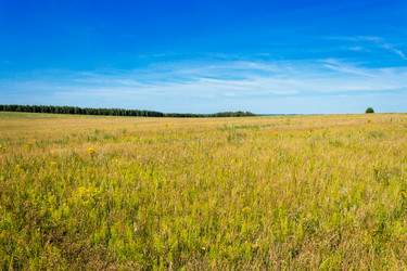 Similar image 6565043