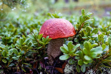 Similar image 6565049