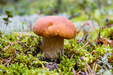 Similar image 6565053