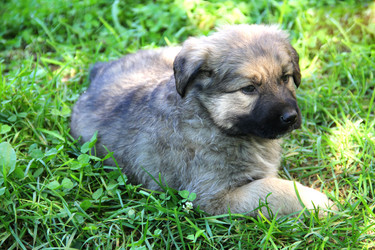 Similar image 6565081