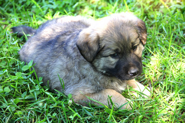 Similar image 6565082