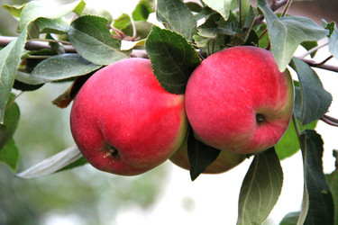 Similar image 6565083