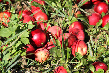 Similar image 6565084