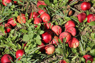 Similar image 6565086