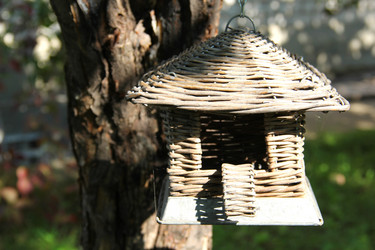 Similar image 6565098