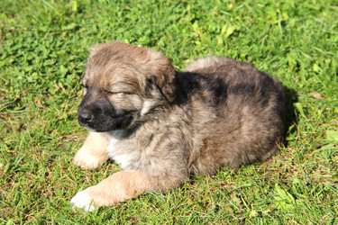 Similar image 6565099