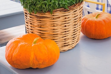 Similar image 6565104