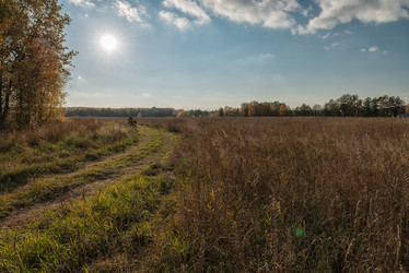 Similar image 6565114