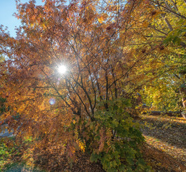 Similar image 6565115