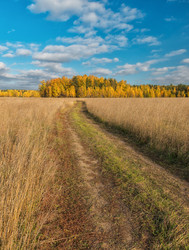 Similar image 6565119