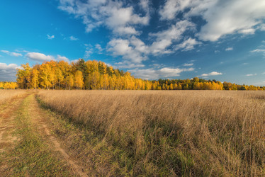 Similar image 6565120