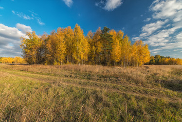 Similar image 6565121