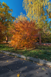 Similar image 6565123