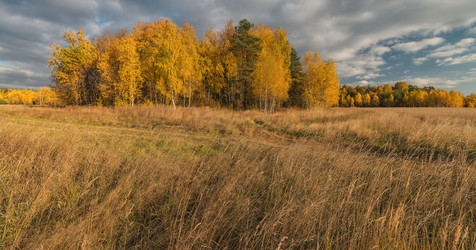 Similar image 6565134