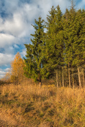 Similar image 6565137