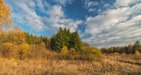 Similar image 6565138