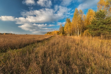 Similar image 6565139