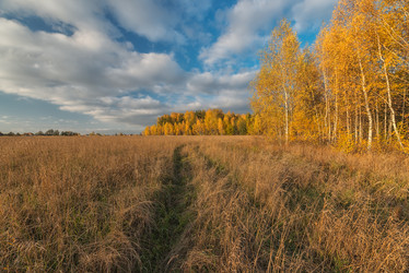 Similar image 6565140