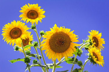 Similar image 6565142