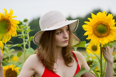 Similar image 6565161