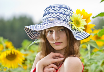 Similar image 6565165