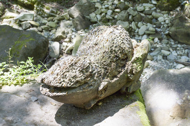 Similar image 6565198