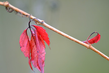 Similar image 6565203