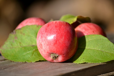 Similar image 6565204