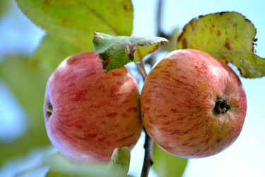 Similar image 6565205