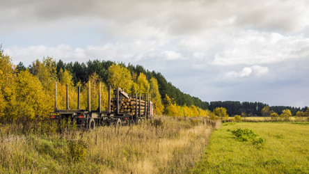 Similar image 6565225