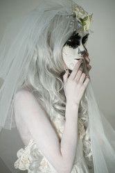 Similar image 6565248