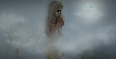 Similar image 6565251